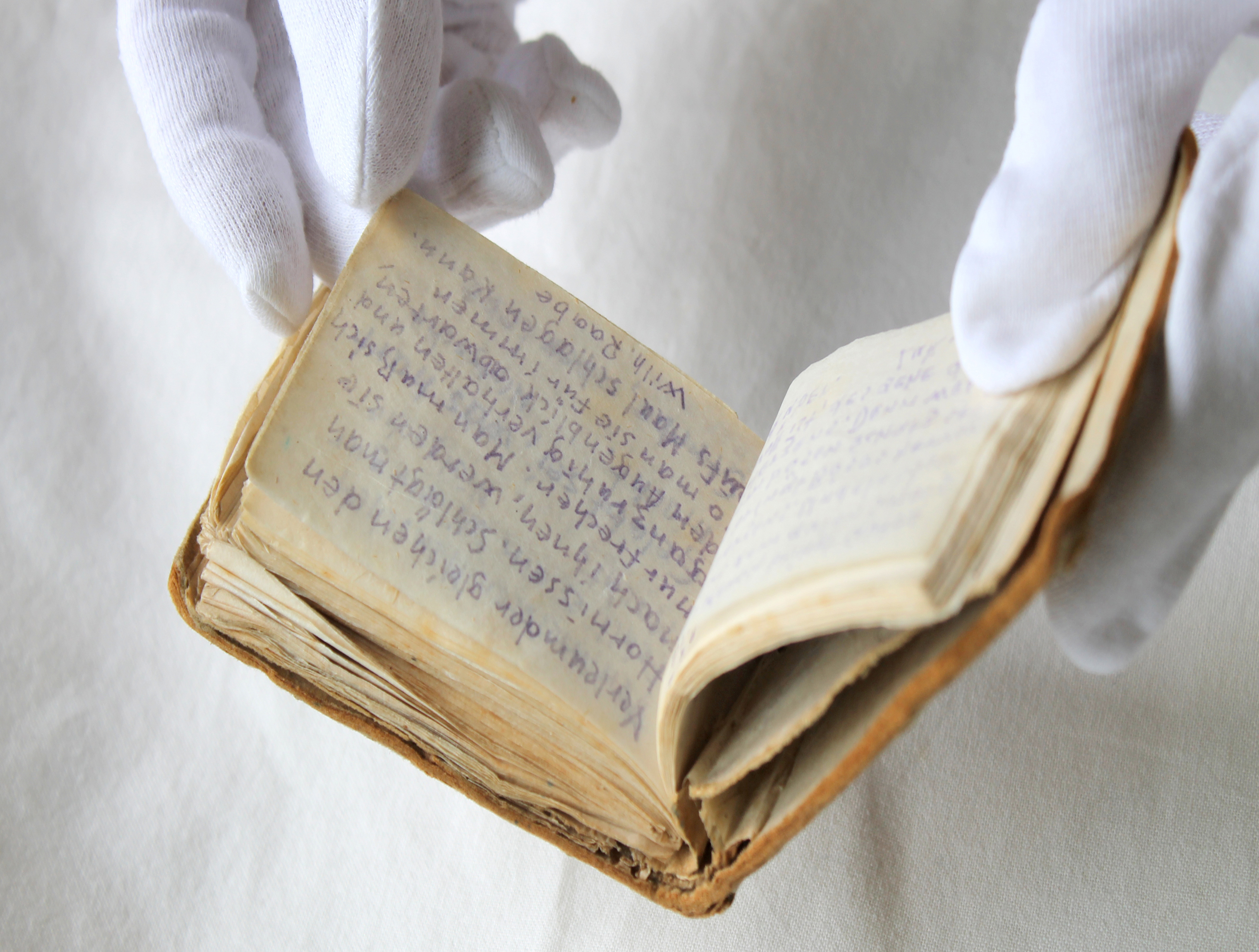 Tagebücher / Diaries